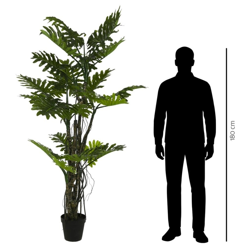Dirbtinis filodendras Brasil 210 cm 2 Dirbtinis filodendras Brasil 210 cm 2