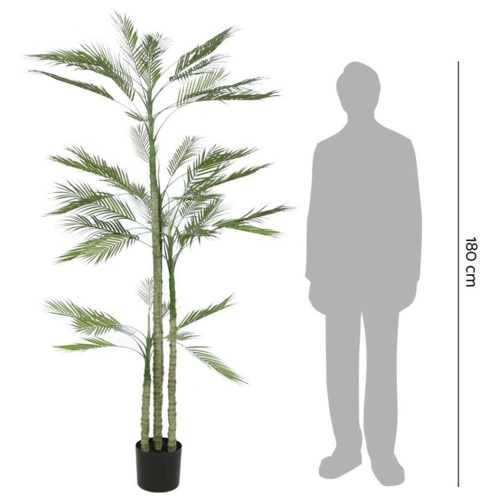 Dirbtinė palmė 200 cm 3 Dirbtinė palmė 200 cm 3