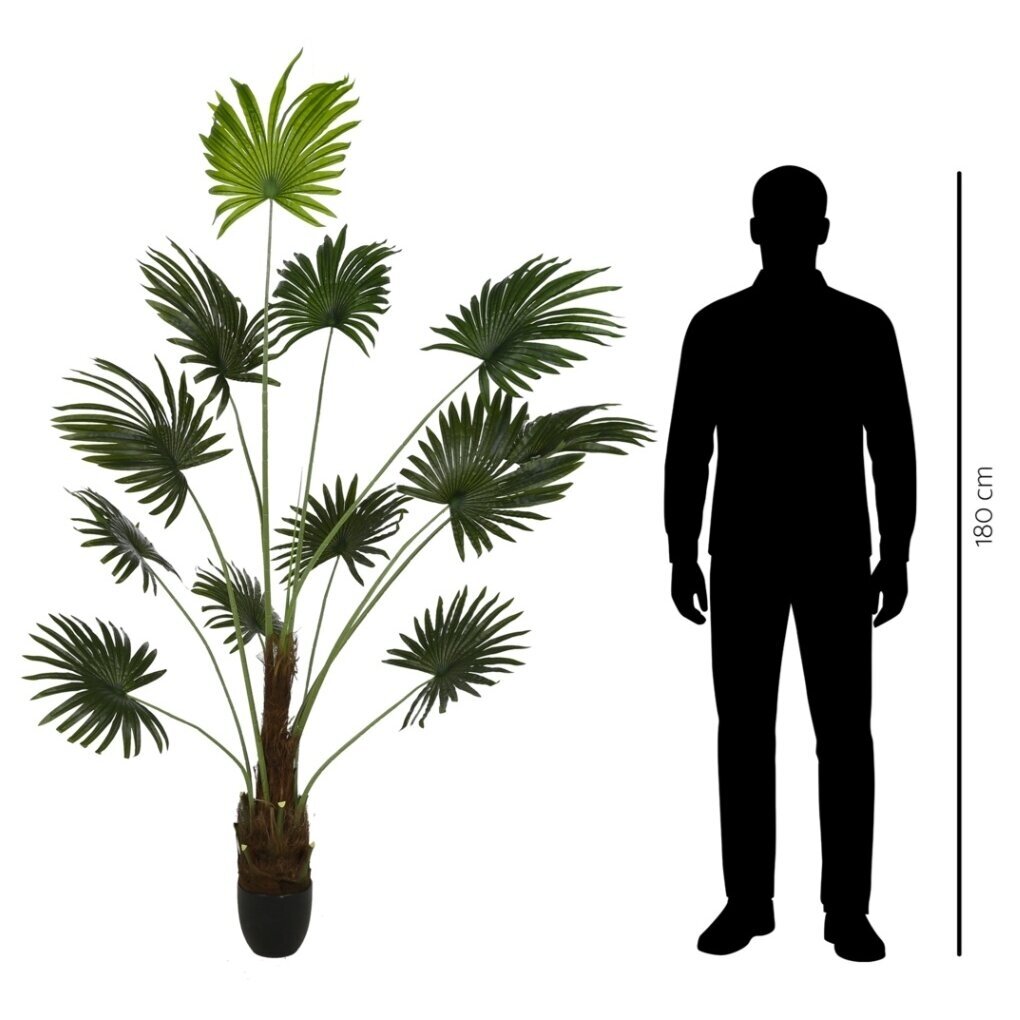 Dirbtinė vėduoklinė palmė 200 cm 2 Dirbtinė vėduoklinė palmė 200 cm 2