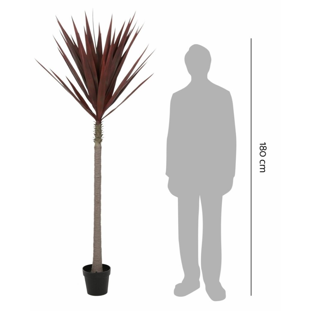 Dirbtinė agava 210 cm 2 Dirbtinė agava 210 cm 2