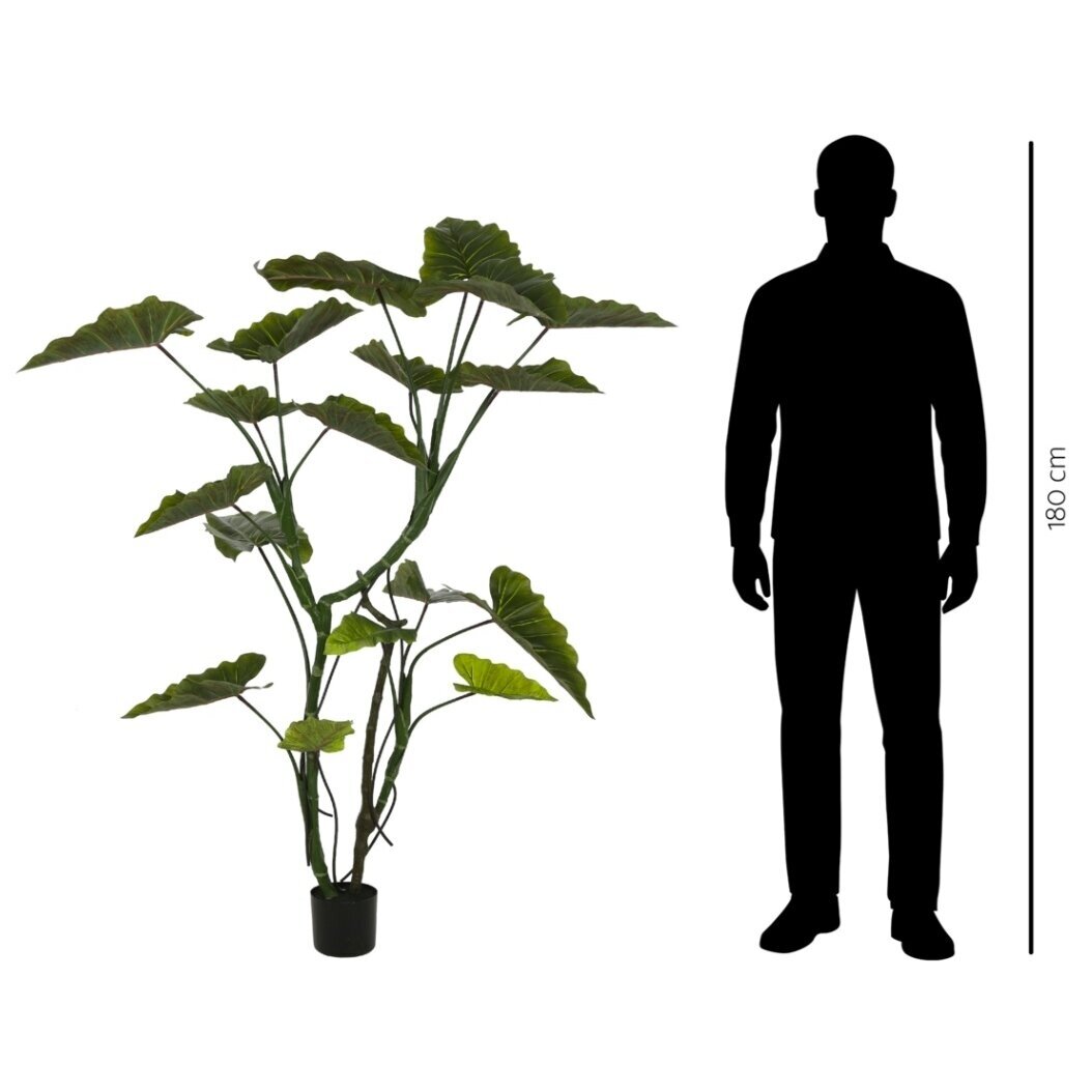 Dirbtinė kolokazija 160 cm 2 Dirbtinė kolokazija 160 cm 2