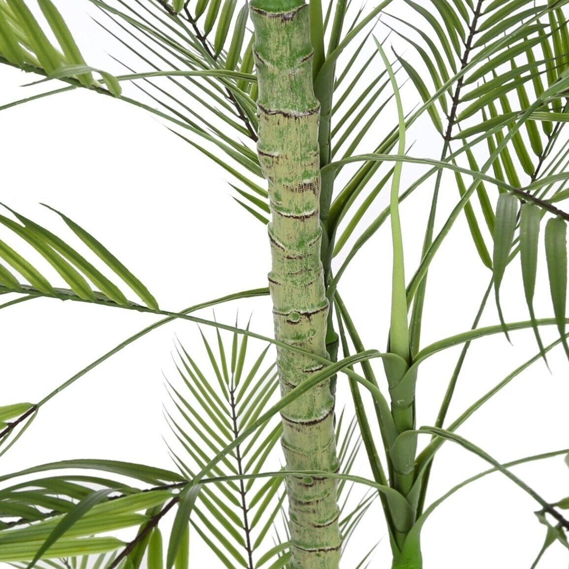 Dirbtinė palmė 200 cm 2 Dirbtinė palmė 200 cm 2