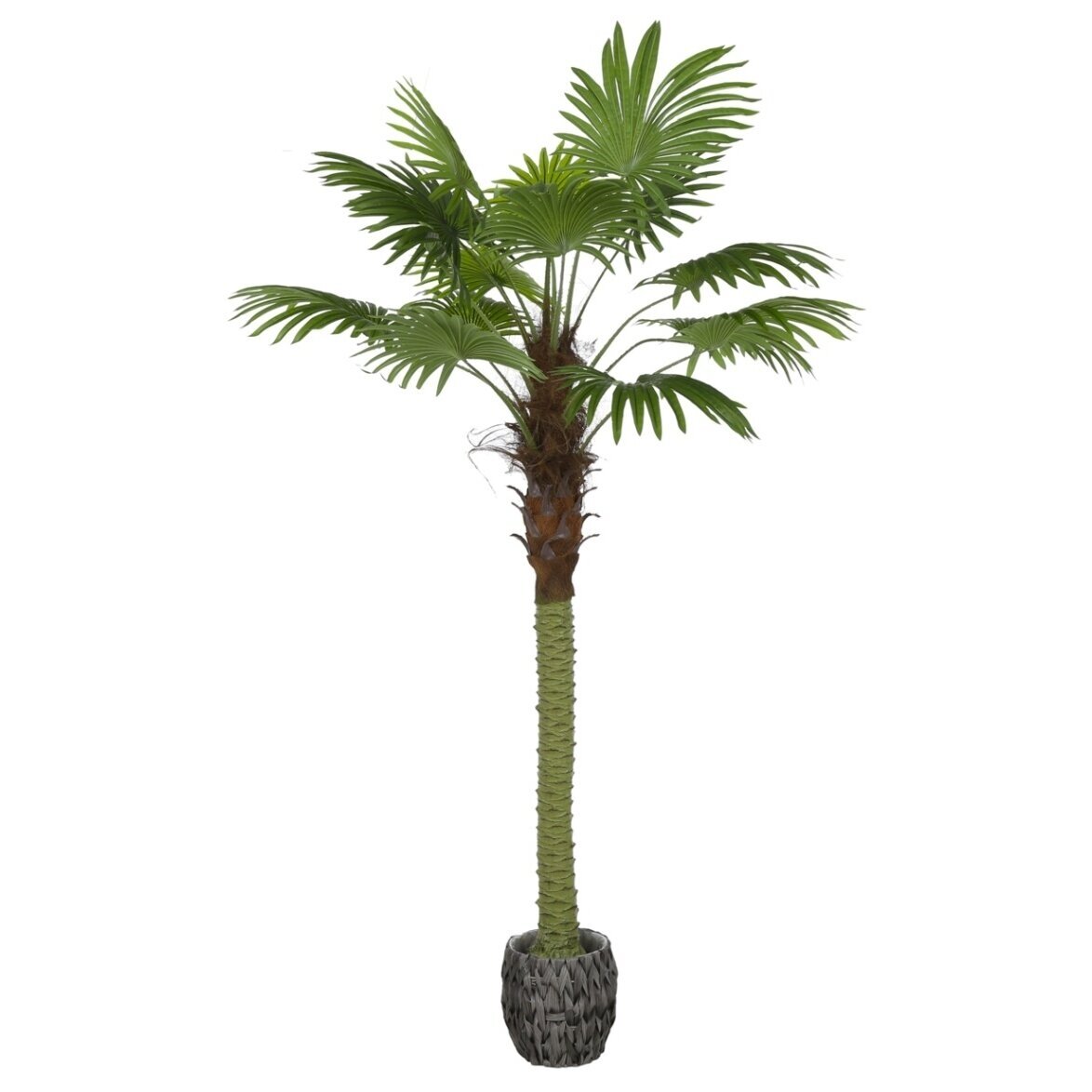 Dirbtinė vėduoklinė palmė 200 cm