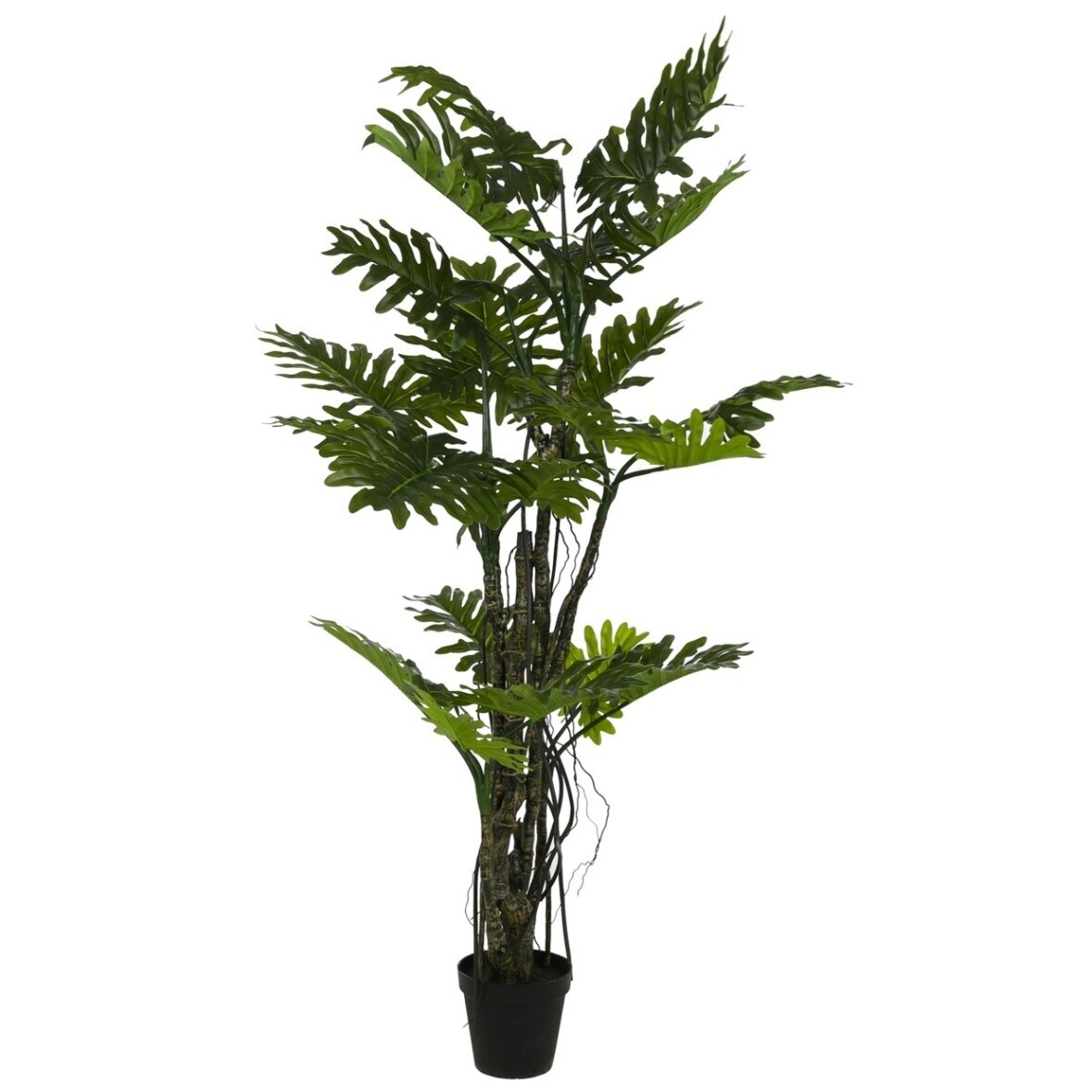 Dirbtinis filodendras Brasil 210 cm 1 Dirbtinis filodendras Brasil 210 cm 1