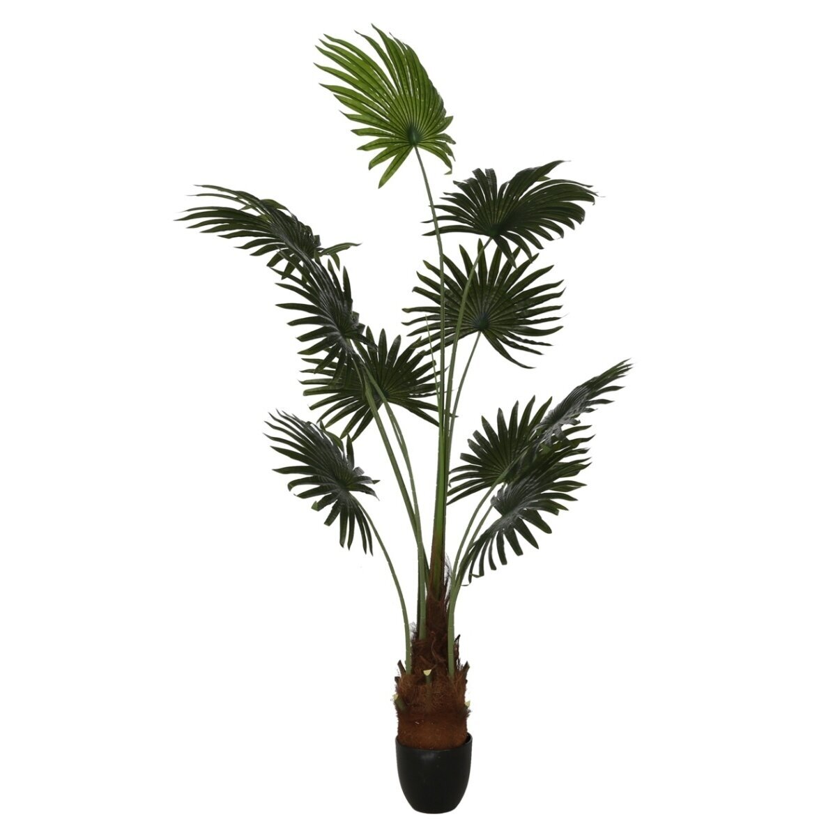 Dirbtinė vėduoklinė palmė 180 cm 1 Dirbtinė vėduoklinė palmė 180 cm 1