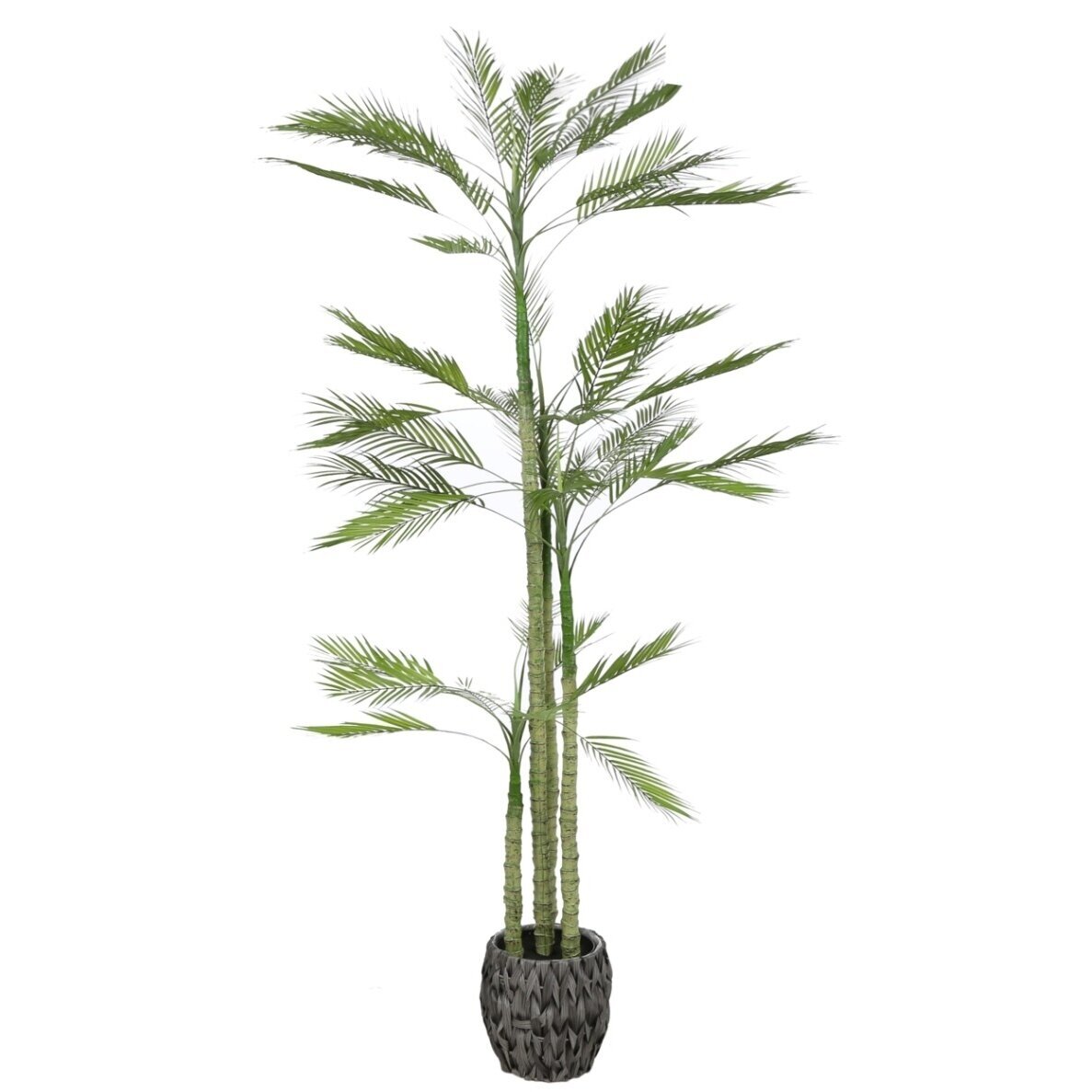 Dirbtinė palmė 200 cm Dirbtinė palmė 200 cm