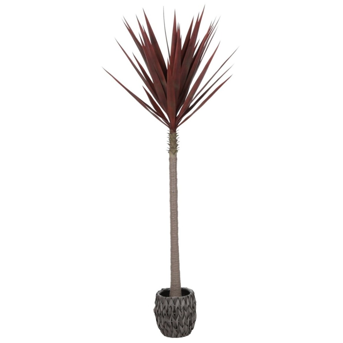 Dirbtinė agava 210 cm
