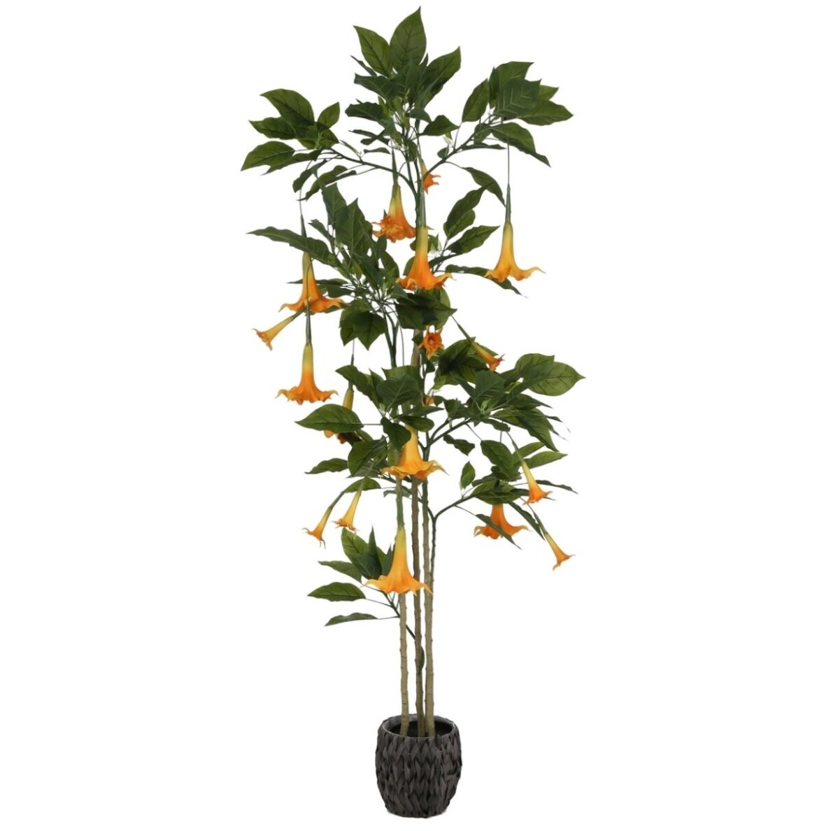 Dirbtinė datūra 200 cm