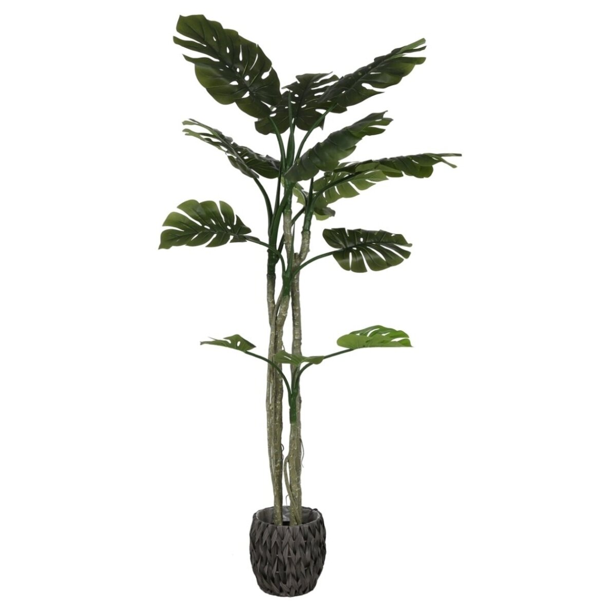 Dirbtinė daugiašakė monstera 180 cm 1 Dirbtinė daugiašakė monstera 180 cm 1