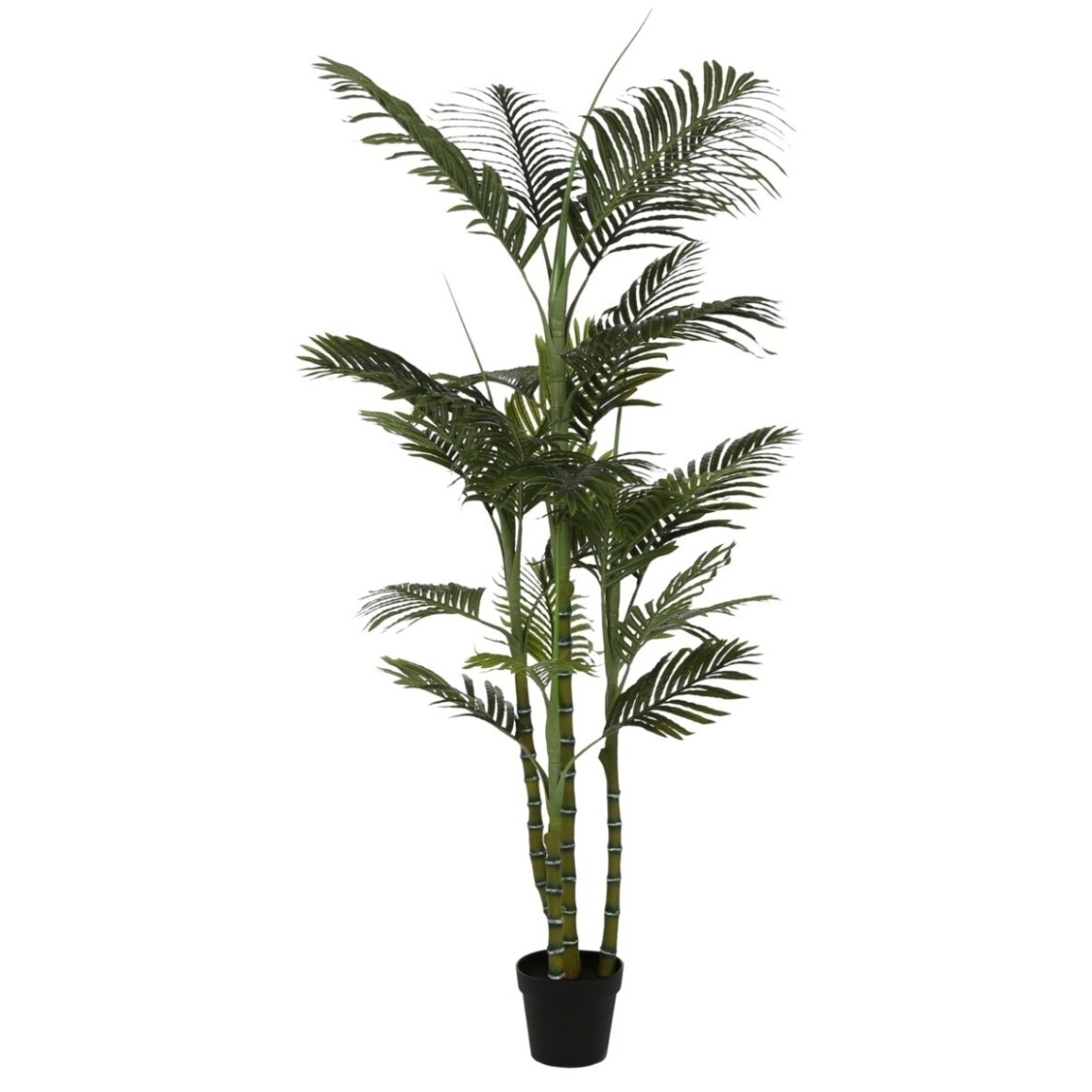Dirbtinė daugiašakė palmė 200 cm 1 Dirbtinė daugiašakė palmė 200 cm 1