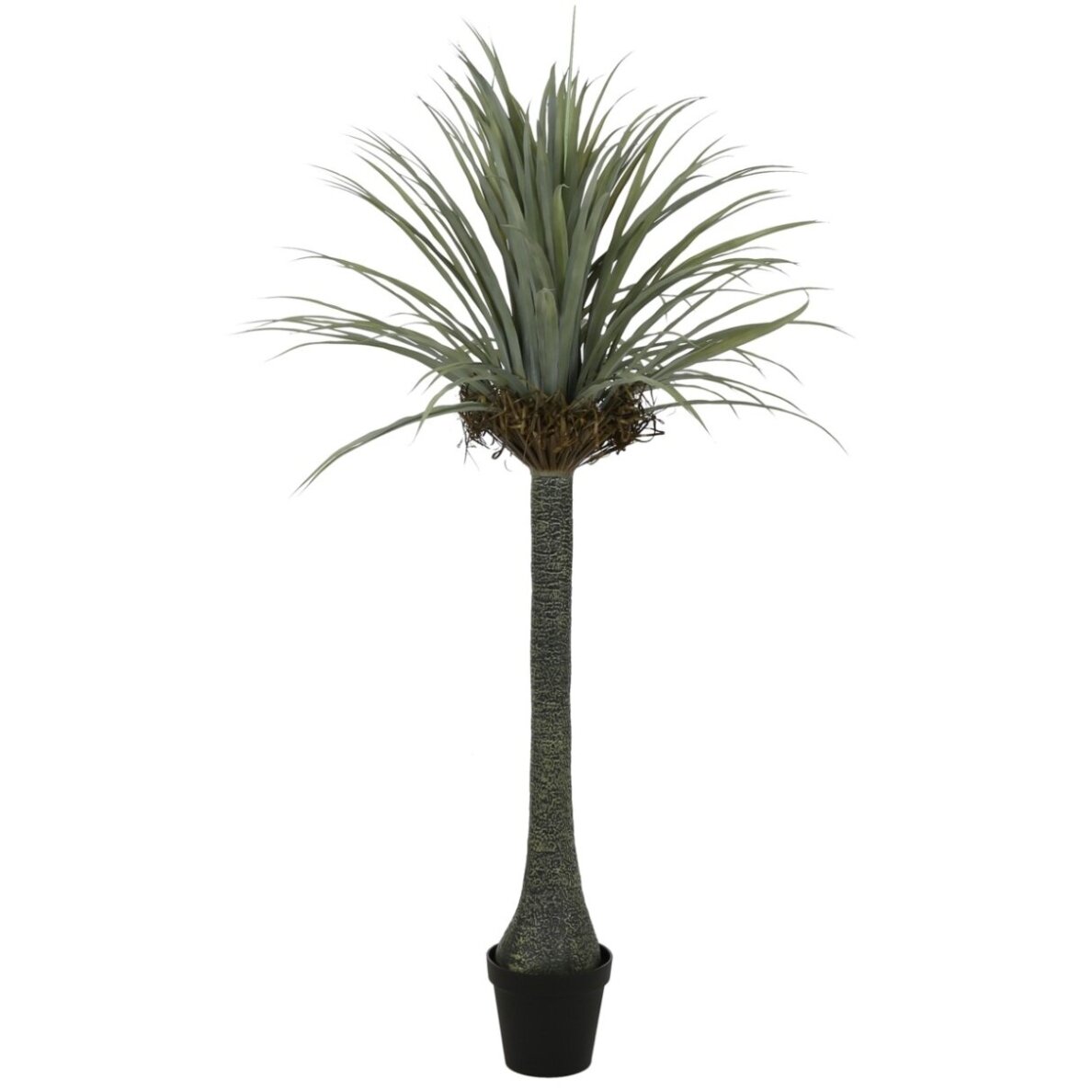 Dirbtinė juka 180 cm 1