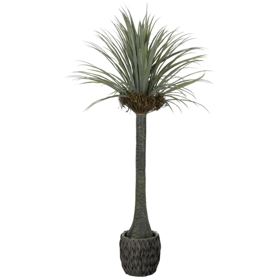 Dirbtinė juka 180 cm