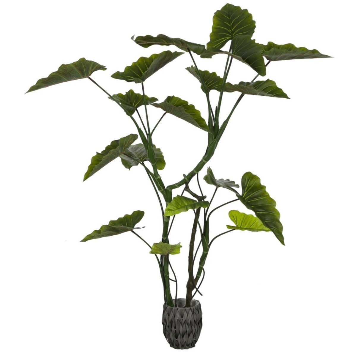 Dirbtinė kolokazija 160 cm Dirbtinė kolokazija 160 cm