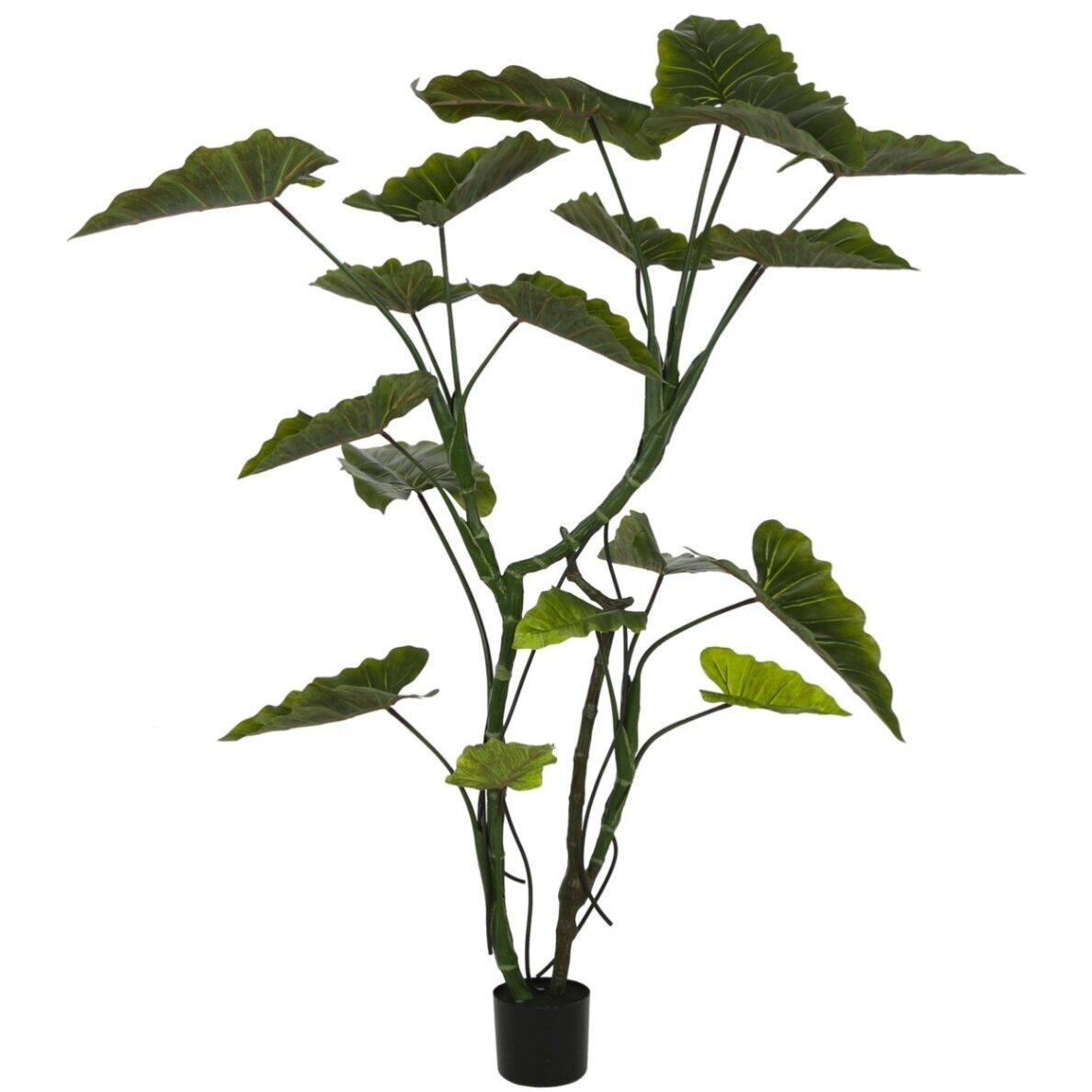 Dirbtinė kolokazija 160 cm 1 Dirbtinė kolokazija 160 cm 1