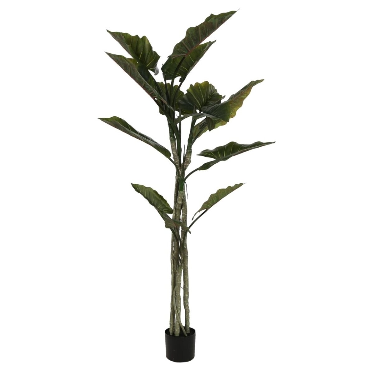 Dirbtinė kolokazija 190 cm 1 Dirbtinė kolokazija 190 cm 1