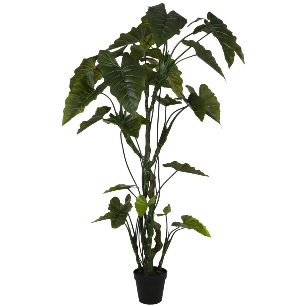 Dirbtinė kolokazija 220 cm 1