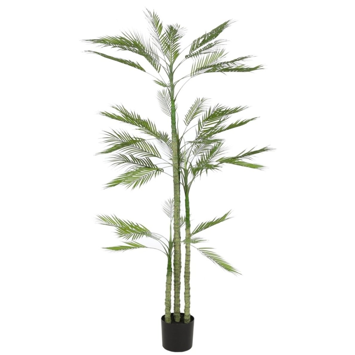 Dirbtinė palmė 200 cm 1 Dirbtinė palmė 200 cm 1