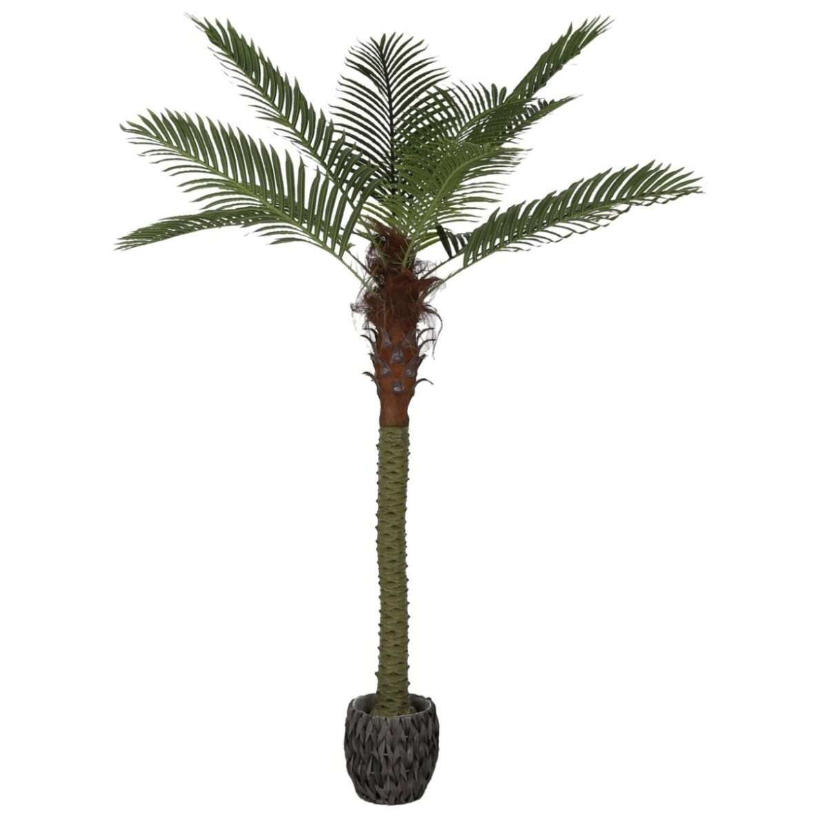 Dirbtinė palmė ant kamieno 250 cm 1 Dirbtinė palmė ant kamieno 250 cm 1