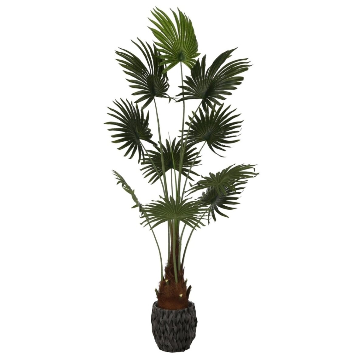 Dirbtinė vėduoklinė palmė 180 cm Dirbtinė vėduoklinė palmė 180 cm