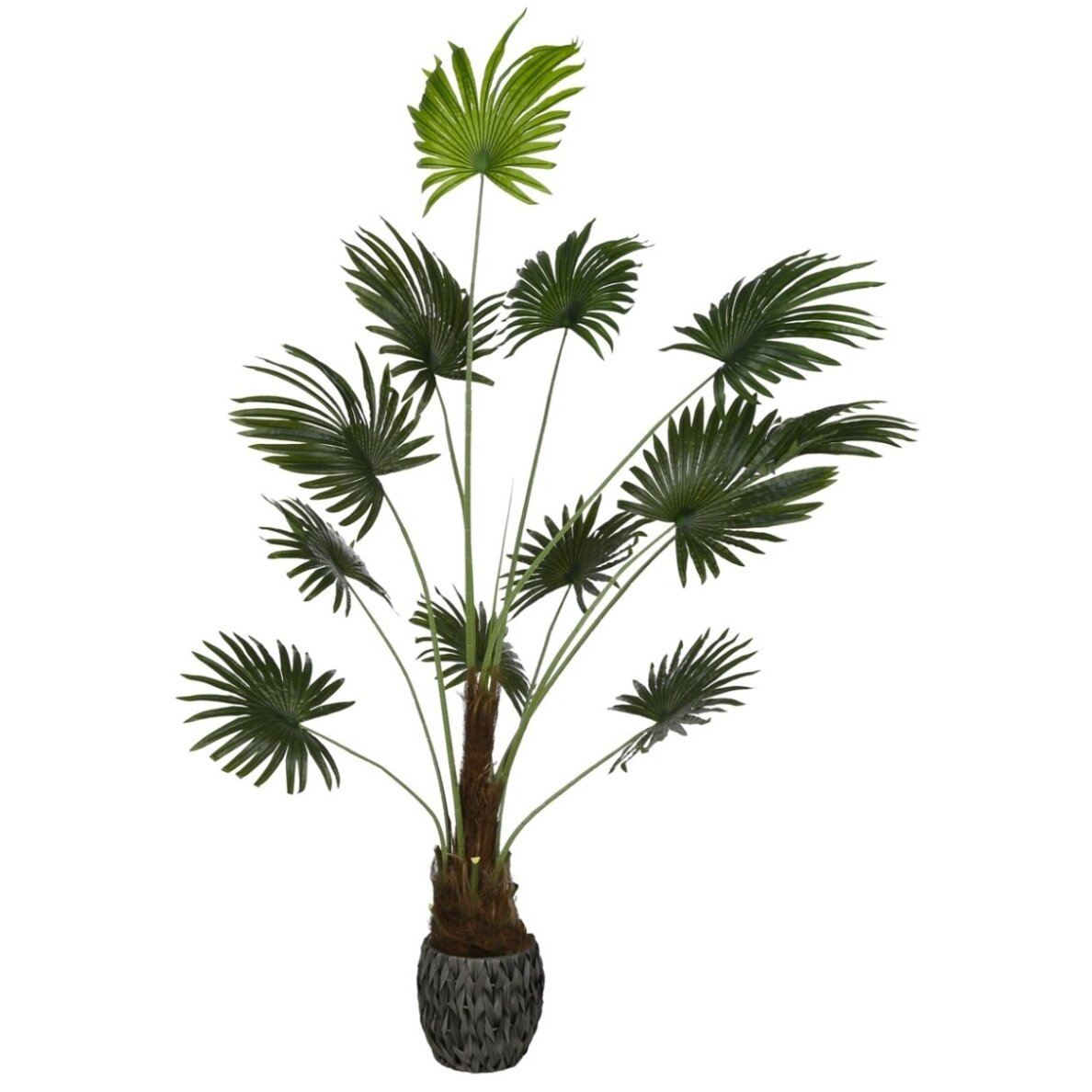 Dirbtinė vėduoklinė palmė 200 cm Dirbtinė vėduoklinė palmė 200 cm
