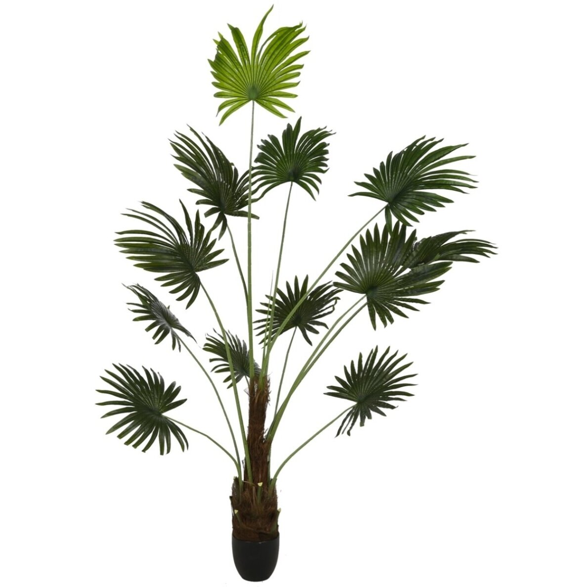 Dirbtinė vėduoklinė palmė 200 cm 1 Dirbtinė vėduoklinė palmė 200 cm 1