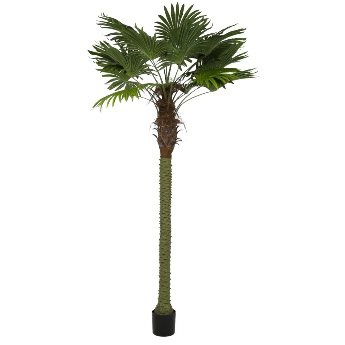 Dirbtinė vėduoklinė palmė 250 cm 1