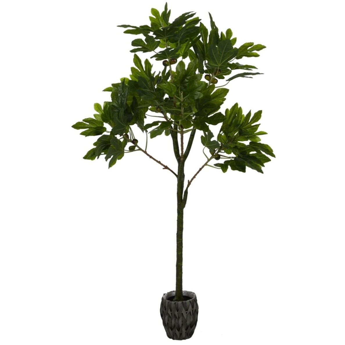 Dirbtinis fikusas 160 cm Dirbtinis fikusas 160 cm