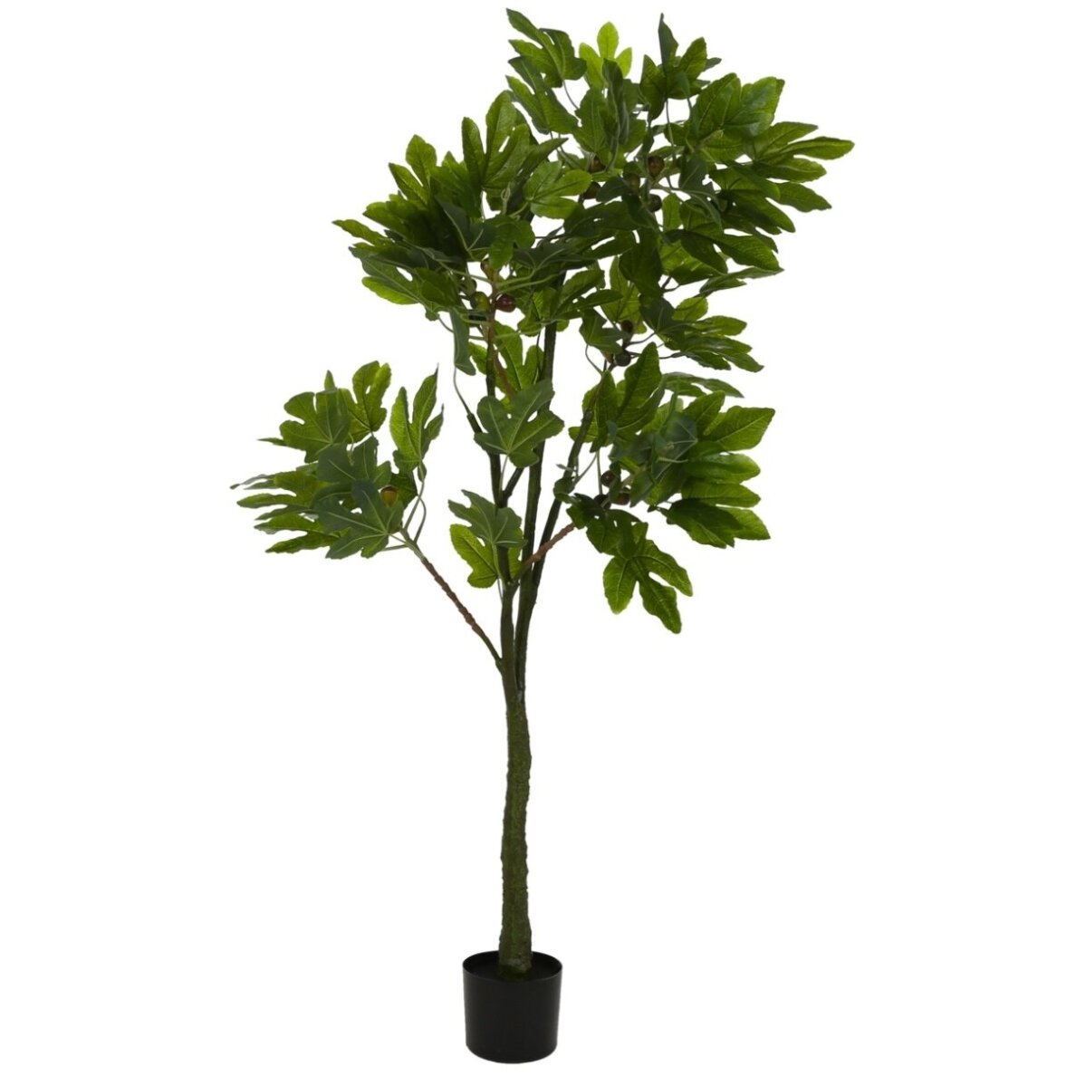 Dirbtinis fikusas 180 cm 1 Dirbtinis fikusas 180 cm 1