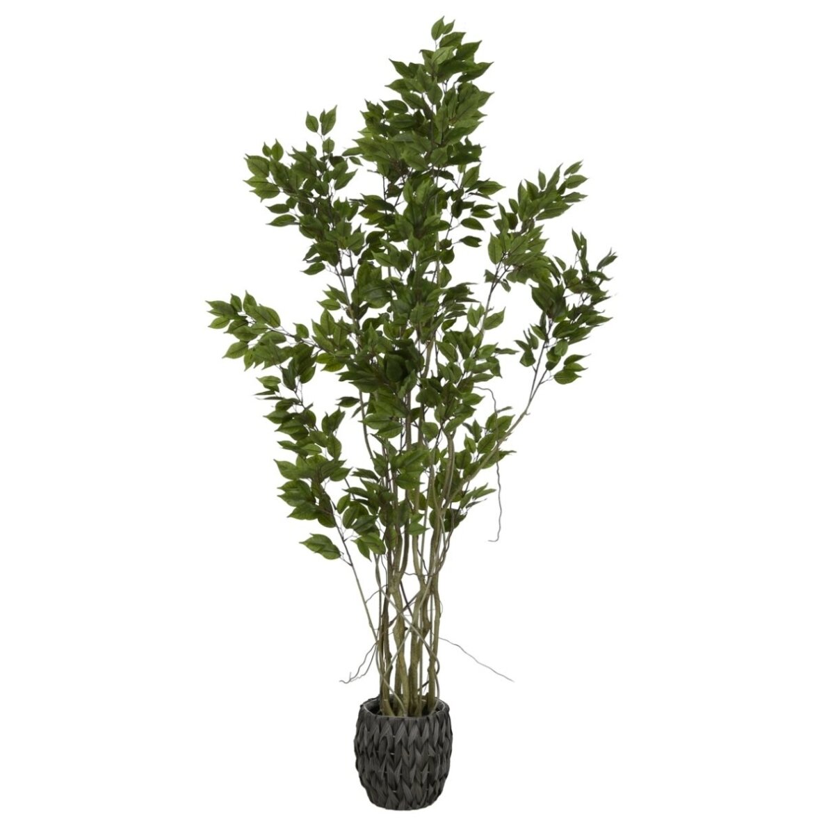 Dirbtinis fikusas 190 cm Dirbtinis fikusas 190 cm