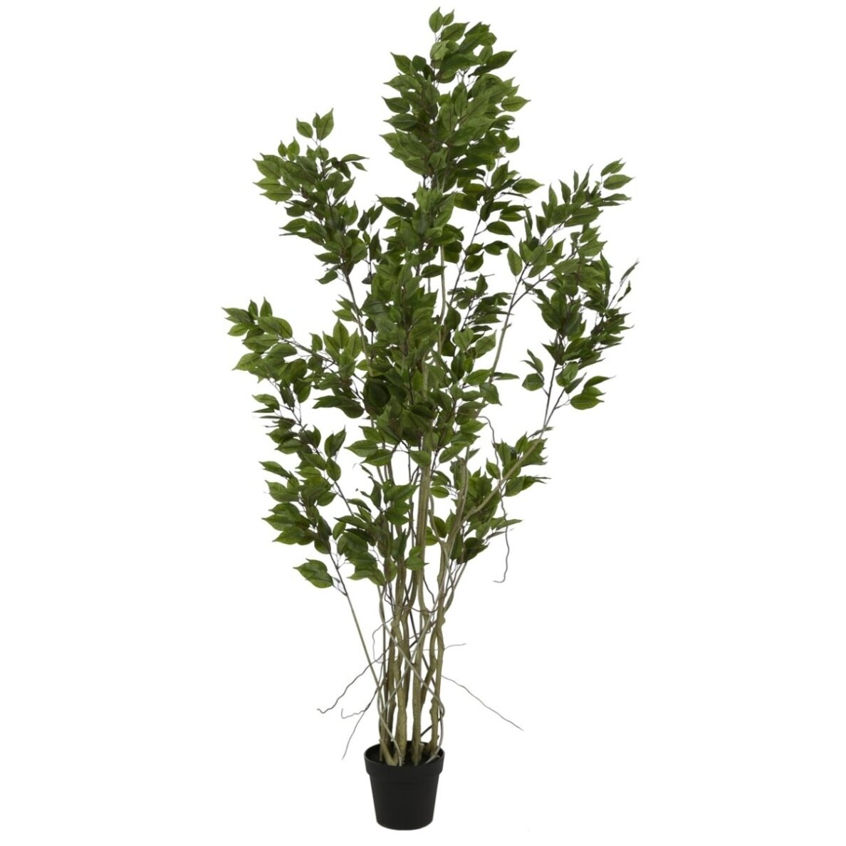 Dirbtinis fikusas 190 cm 1 Dirbtinis fikusas 190 cm 1