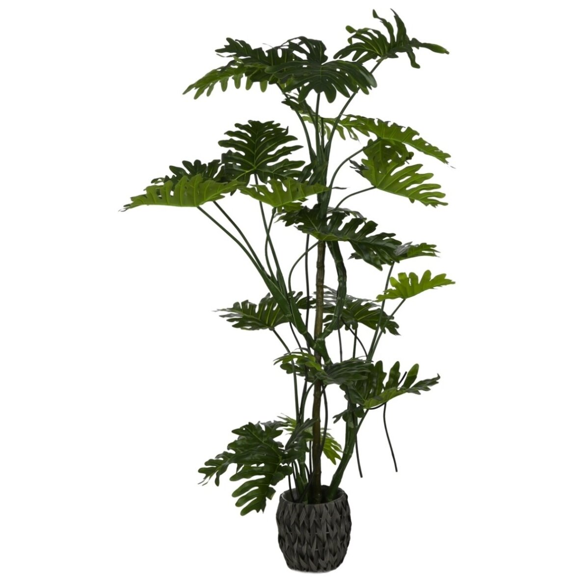 Dirbtinis filodendras 180 cm Dirbtinis filodendras 180 cm