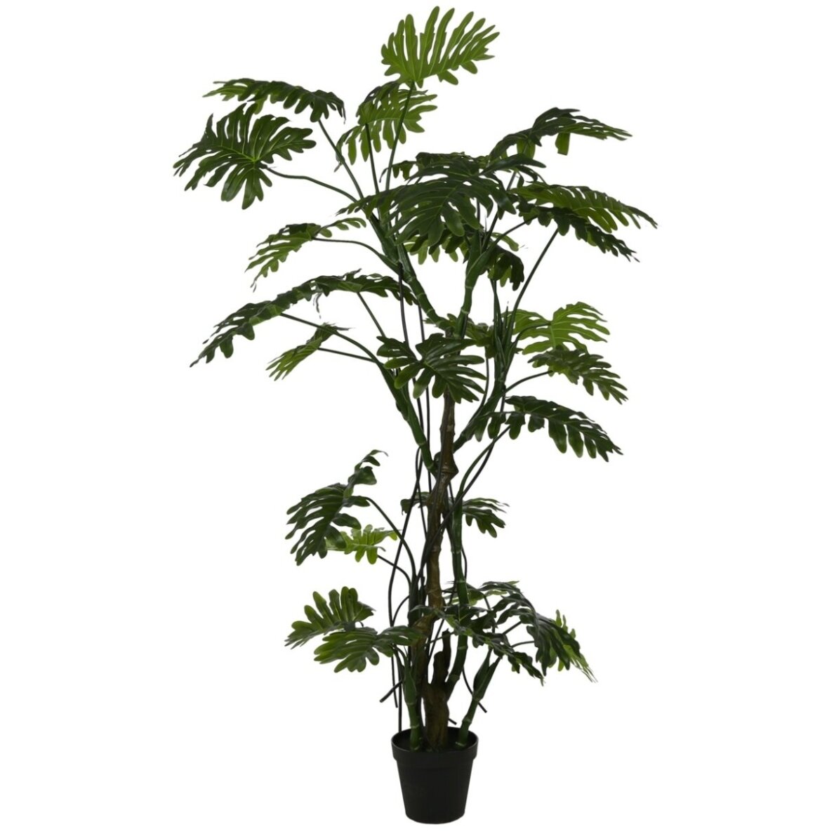 Dirbtinis filodendras 210 cm 1