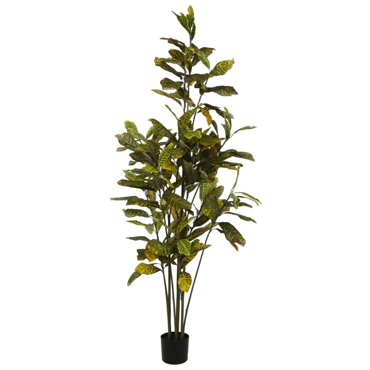 Dirbtinis krotonas 190 cm 1 Dirbtinis krotonas 190 cm 1