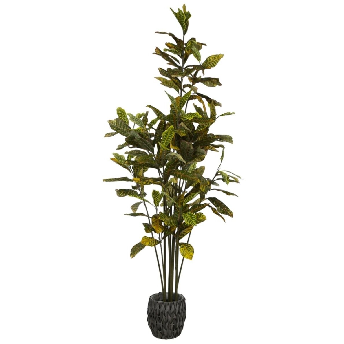 Dirbtinis krotonas 190 cm Dirbtinis krotonas 190 cm