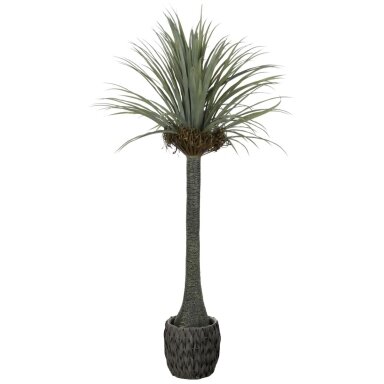 Dirbtinė juka 180 cm