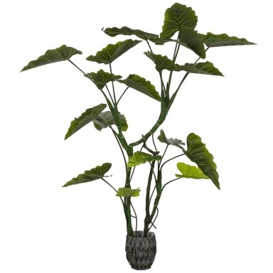Dirbtinė kolokazija 160 cm