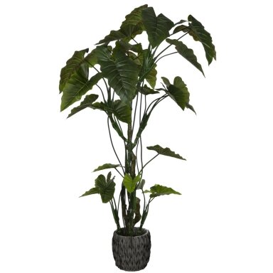 Dirbtinė kolokazija 220 cm