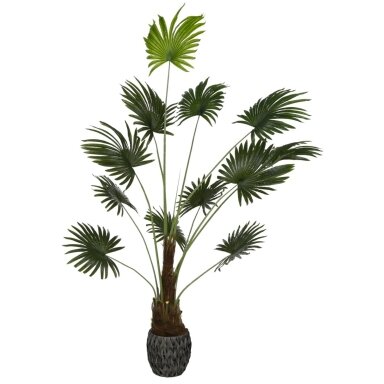 Dirbtinė vėduoklinė palmė 200 cm