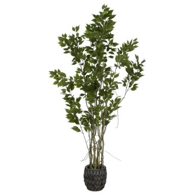 Dirbtinis fikusas 190 cm
