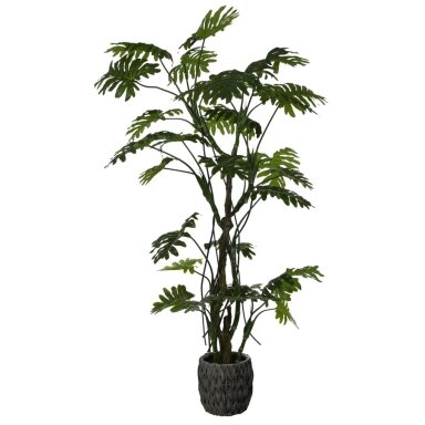 Dirbtinis filodendras 210 cm