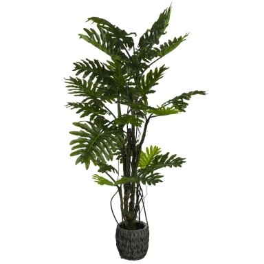 Dirbtinis filodendras Brasil 210 cm