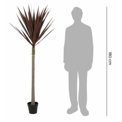 Dirbtinė agava 180 cm 2 Dirbtinė agava 180 cm 2