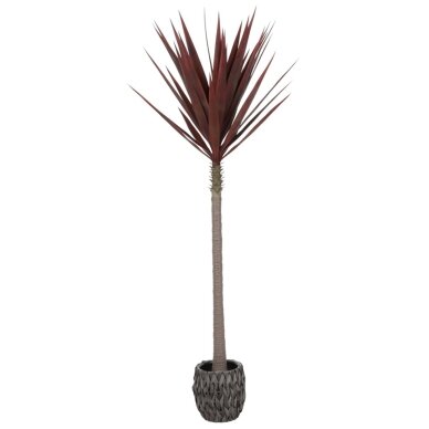 Dirbtinė agava 210 cm Dirbtinė agava 210 cm