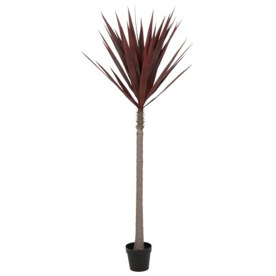 Dirbtinė agava 210 cm 1 Dirbtinė agava 210 cm 1