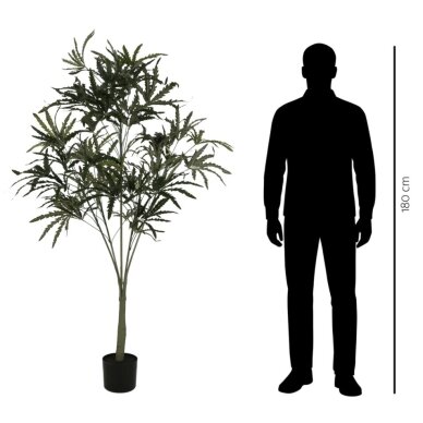 Dirbtinė aralija 180 cm 2 Dirbtinė aralija 180 cm 2