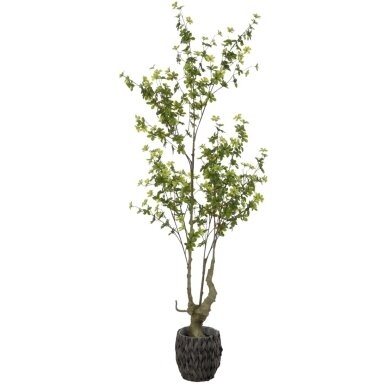 Dirbtinė chlorofitė 190 cm Dirbtinė chlorofitė 190 cm