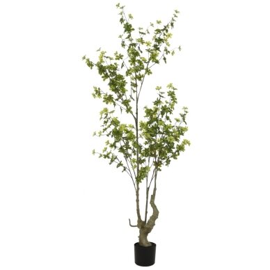 Dirbtinė chlorofitė 190 cm 1 Dirbtinė chlorofitė 190 cm 1
