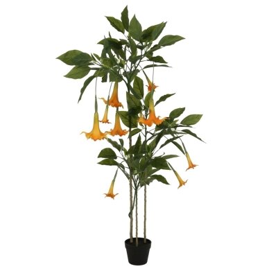 Dirbtinė datūra 160 cm 1 Dirbtinė datūra 160 cm 1