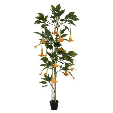 Dirbtinė datūra 200 cm 1 Dirbtinė datūra 200 cm 1
