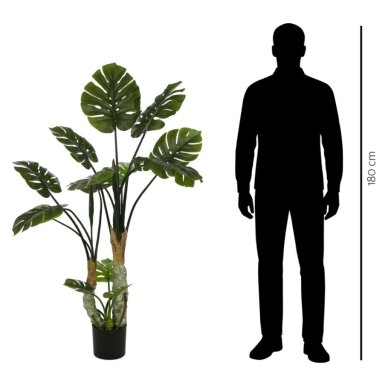 Dirbtinė daugiašakė monstera 160 cm 3 Dirbtinė daugiašakė monstera 160 cm 3